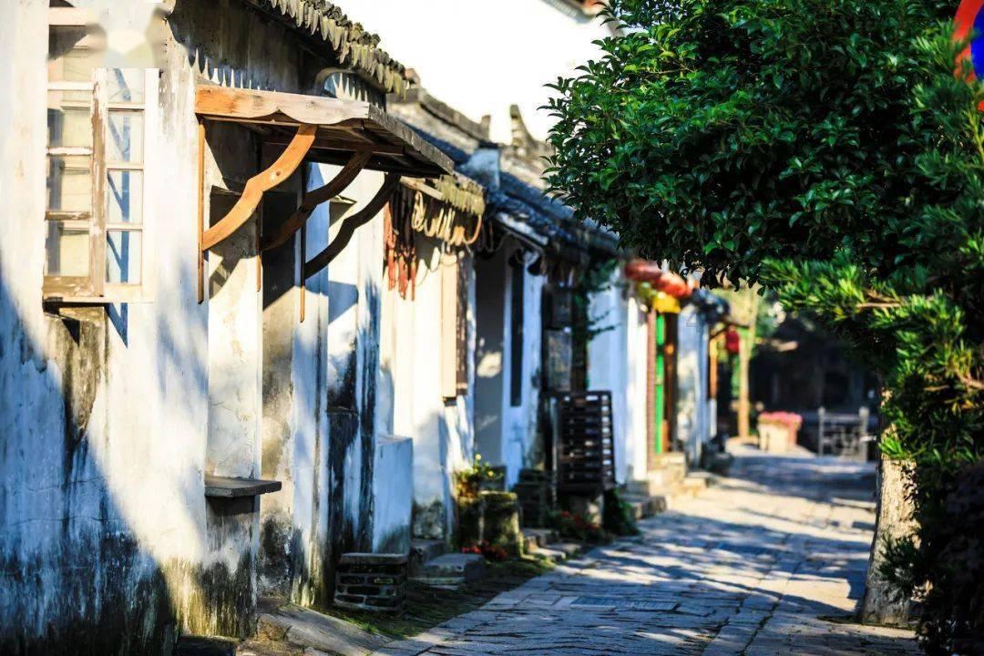 营救小乌龟